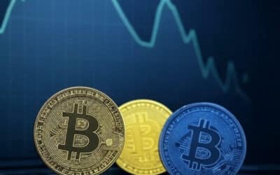 Les incontournables de l’univers crypto et blockchain en novembre 2025