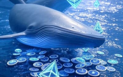 Les baleines Ethereum en pleine accumulation : leur impact décisif sur le prix de l’ETH en novembre 2025