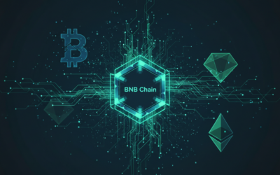La BNB Chain : au cœur de l&rsquo;innovation et de l&rsquo;expansion de l&rsquo;univers crypto